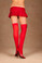 Elegant Moments Opaque Thigh High - Red