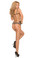 Elegant Moments Lycra Diamond Net Bodystocking Queen Size