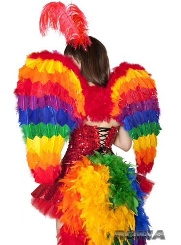 Roma Costume Rainbow Wings 4368