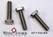 1/4-20 x 3/4" F-Track Bolts in 18-8 Stainless Steel—Fits All Styles of F-Track