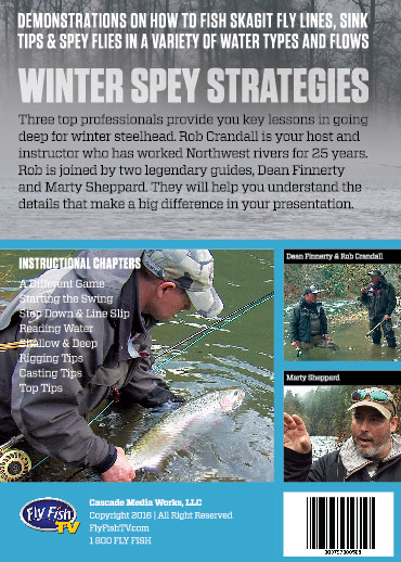 Sink Tip Skagit Casting Basics Scientific Anglers Fly Line Sonar