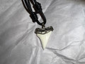 Great White Shark Tooth Slver Capped (3)