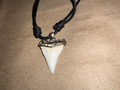 Modern Great White Tooth Sterling Silver Cap (1)