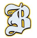 Brunswick High School Logo