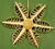 Small Shaved Star Ornament