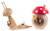 Wooden Snail Good Luck Mushroom German Smoker SMD146X1738