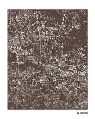 Houston Texas cityscape