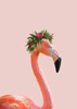 Lovely lady Flamingo