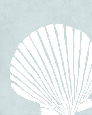 Ocean Set - Fan Shell