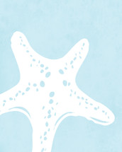 Starfish in Muted Blue