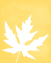 Maple leaf art print