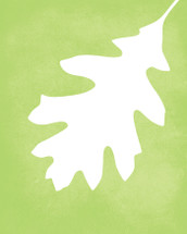 Oak leaf art print