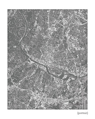 Austin Texas Cityscape