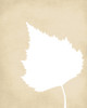 Aspen leaf print