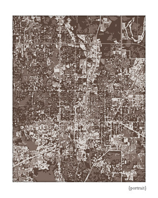 Gainesville Cityscape