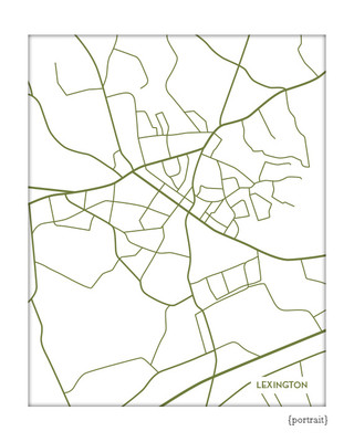 Lexington, South Carolina city map