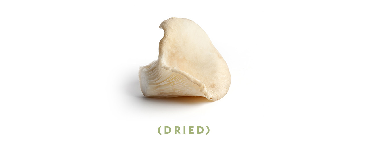 Dried Oyster Mushrooms are extremely popular because of their high nutritional value and gourmet versatility.