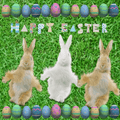 NOW THROUGH MONDAY (04/06/26)- Happy Easter  SALE! L@@K! SEE DETAILS!