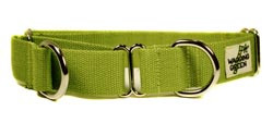 Martingale Dog Training Collar - Handmade using bamboo - Green