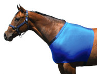 Sleazy Sleepwear for Horses Solid Shoulder Guards
