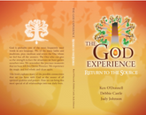 The God Experience book cover