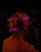 Image not AI Image not AI