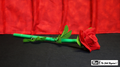 Break Away Rose by Mr. Magic - Trick