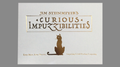 Curious Impuzzibilities by Jim Steinmeyer - Book