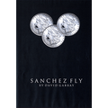 Sanchez Fly by David Gabbay - video - DOWNLOAD