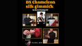 DX Chameleon Silk Gimmick by Ryusei Kamiguchi & Tejinaya Magic - Trick