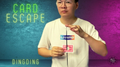 The Vault - Card Escape by Dingding video DOWNLOAD