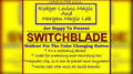 Switchblade by Rodger Lovins