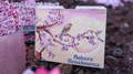 Sakura Renaissance 3D Pop-up Sunlight Edition Playing Cards
