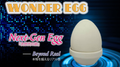 The Wonder Egg