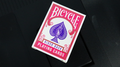 Mini Bicycle Cards (Fuchsia)