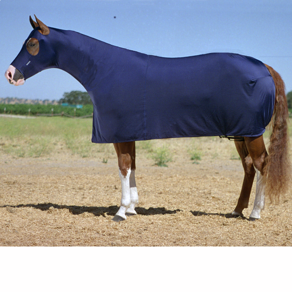 robinhoods friar tuck