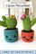 Crochet Cactus Pincushion pdf crochet pattern