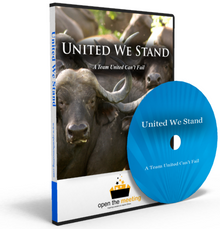 Team training video based on a simple fable for a hungry lion and united bulls. Perfect for teamwork development and team activities.
