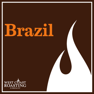 Brazil Terra Nova 28Hr Natural