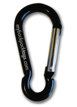 SCHOOLS: CARABINER   (great for quick changes each day!)