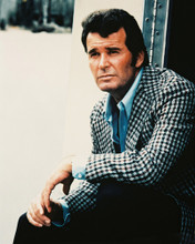 THE ROCKFORD FILES JAMES GARNER PRINTS AND POSTERS 29198