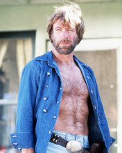 CHUCK NORRIS PRINTS AND POSTERS 289856