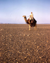 LAWRENCE OF ARABIA PRINTS AND POSTERS 289823