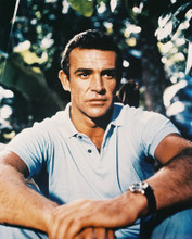 SEAN CONNERY PRINTS AND POSTERS 28981