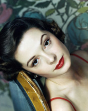 JANE GREER PRINTS AND POSTERS 289696