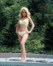 STELLA STEVENS PRINTS AND POSTERS 289637