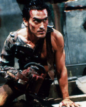 BRUCE CAMPBELL PRINTS AND POSTERS 289456
