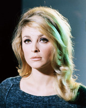 SHARON TATE PRINTS AND POSTERS 289430