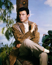 LAURENCE HARVEY PRINTS AND POSTERS 289097