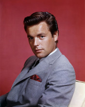 ROBERT WAGNER PRINTS AND POSTERS 289088